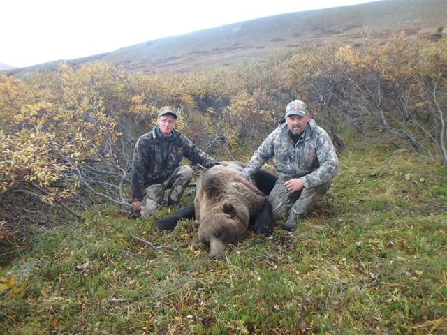 Alaska Bear- Hunting in Alaska