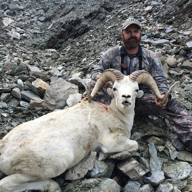 Alaska Sheep Hunt Photo